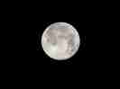 満月
