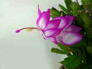 ノートパソコン